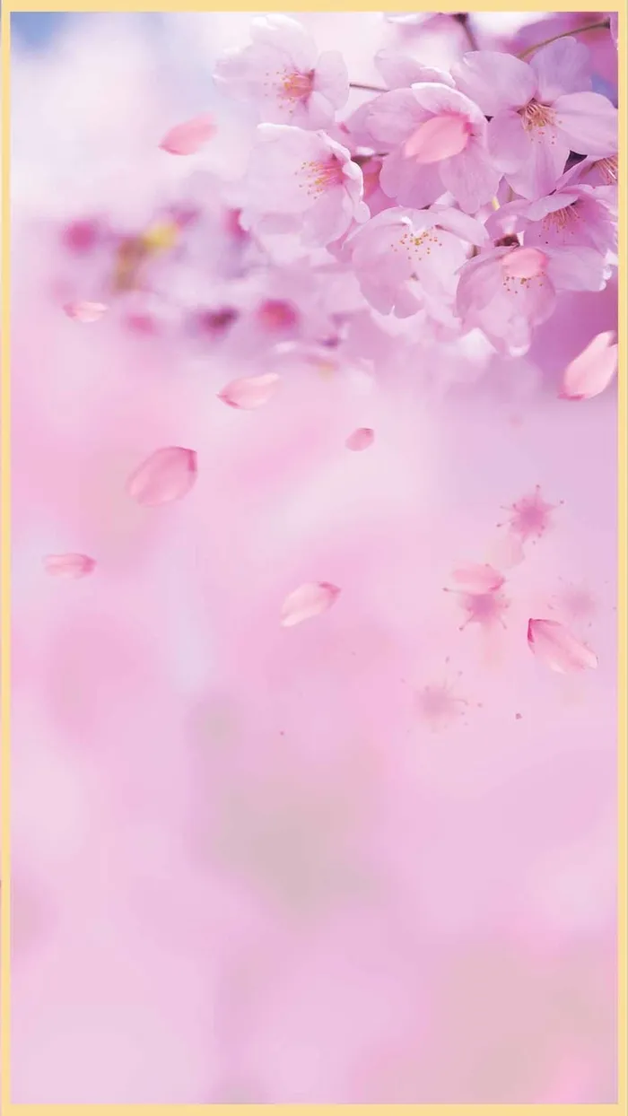 粉色樱花花瓣梦幻PSD分层H5背景素材高清