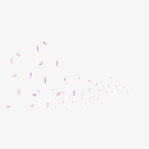 漫天花瓣雨免抠