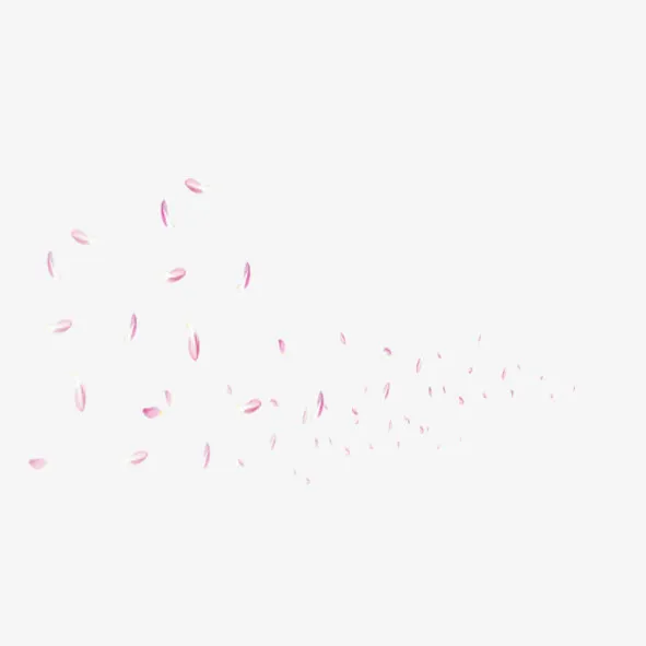 漫天花瓣雨免抠