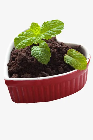 黑色可可粉冰淇淋免抠