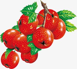 水果山楂手绘免抠