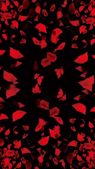 浪漫玫瑰花瓣黑色H5背景高清