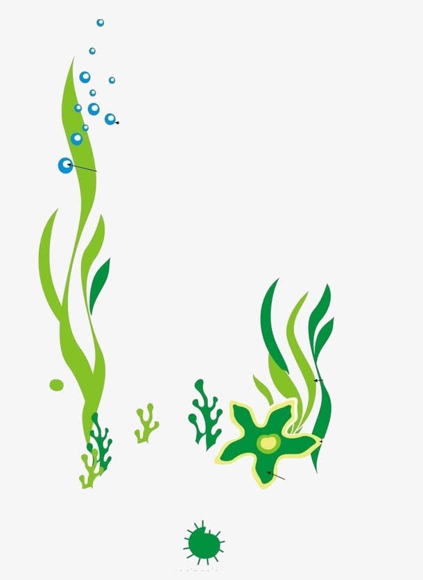 水草免抠