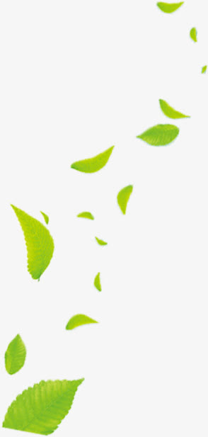 树叶漂浮元素免抠