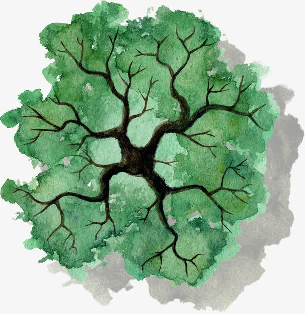 手绘树木俯视图免抠