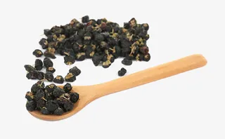 黑枸杞摄影免抠