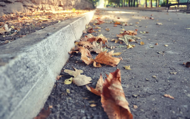 路边街道上的落叶免抠