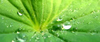 淘宝 天猫 banner 背景高清