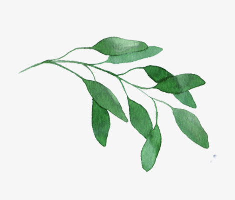 春天植物树叶素材免抠