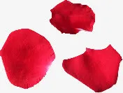 玫瑰花瓣素材图片免抠