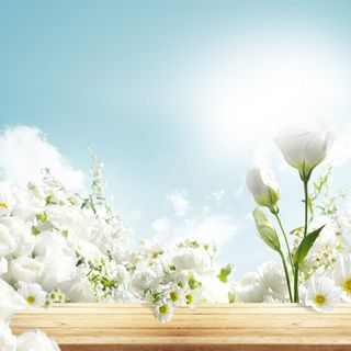 淘宝背景图高清