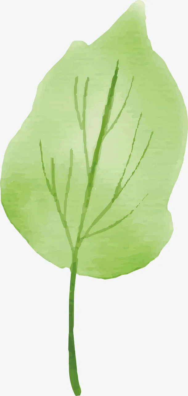 绿色叶子PNG下载免抠
