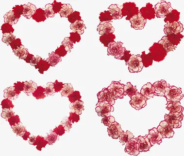 爱心康乃馨免抠