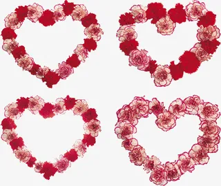 爱心康乃馨免抠