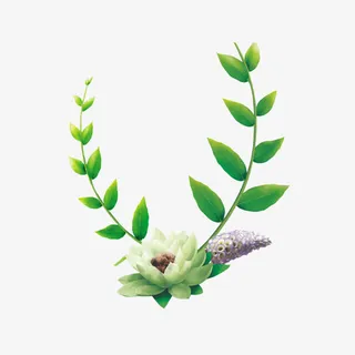 绿叶盛开的绿色花免抠