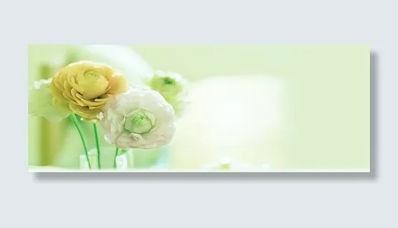 淘宝 天猫 通用海报背景banner