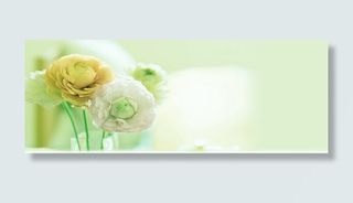 淘宝 天猫 通用海报背景banner