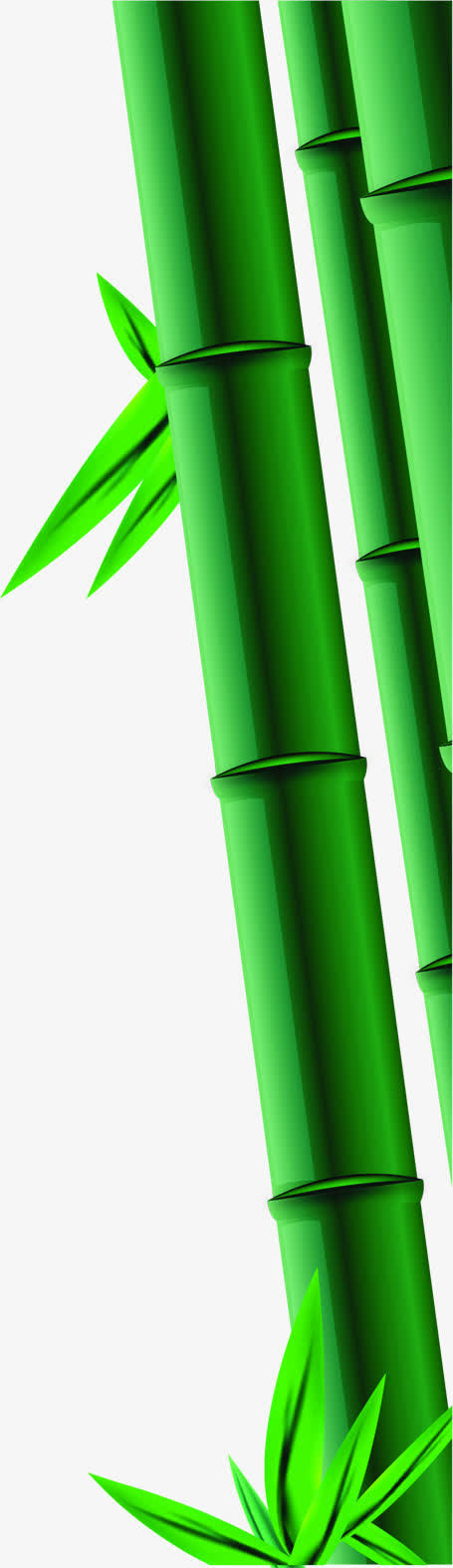 竹子绿竹翠竹端午节侧边装饰免抠