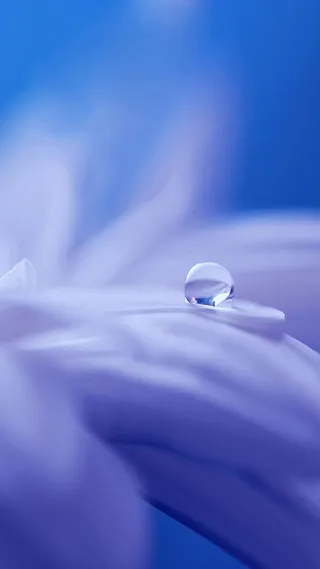 蓝色梦幻露珠手机端H5背景高清