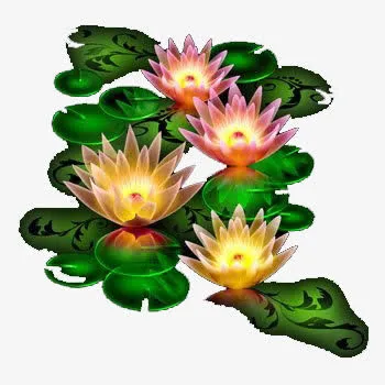 唯美荷花灯元素免抠