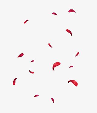 浪漫玫瑰花漂浮物免抠