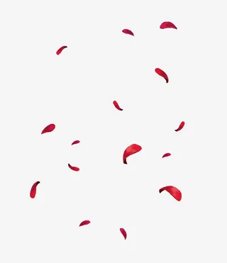 浪漫玫瑰花漂浮物免抠