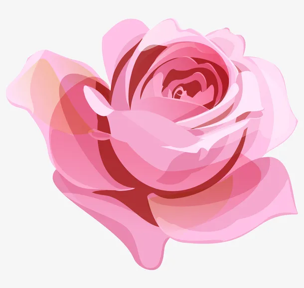 手绘卡通装饰花瓣花草装饰海报设免抠