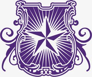 矢量图盾牌上的五角星免抠