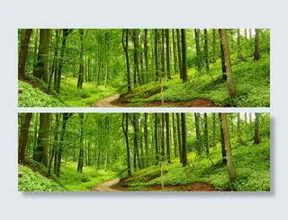 树林风景背景高清