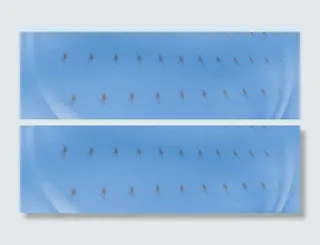 梦幻纹理背景高清