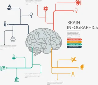 PPT设计大脑信息图免抠