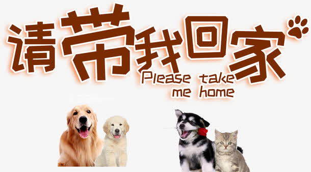 请带我回家艺术字免抠