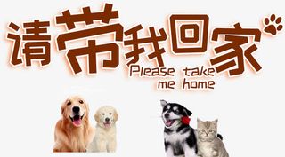 请带我回家艺术字免抠