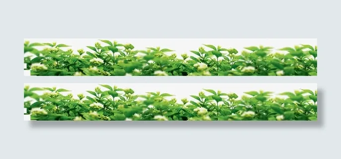 绿叶花朵花丛装饰免抠