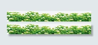 绿叶花朵花丛装饰免抠