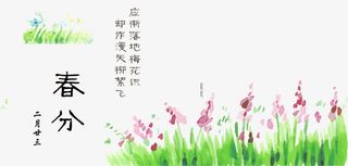 春分草绿小花节气免抠