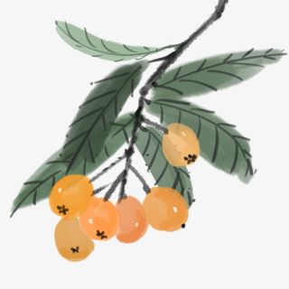 水墨风格的枇杷免抠