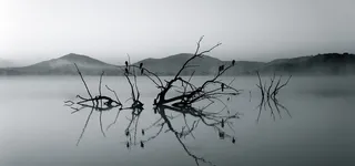 野生动物园高清