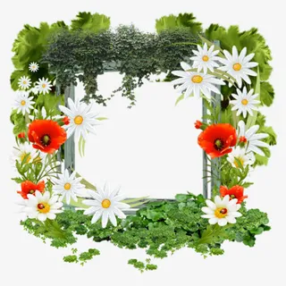 白晶菊爬山虎装饰边框免抠