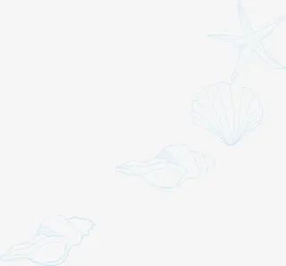 蓝色线条海螺免抠