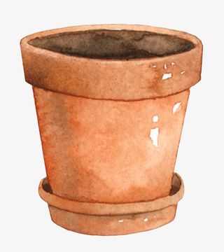 卡通手绘植物花盆免抠