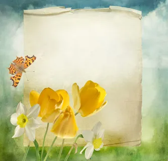 蝴蝶与鲜花背景