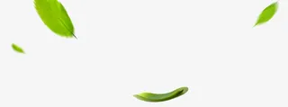 漂浮绿叶元素免抠