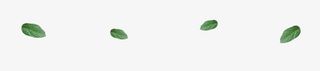 4片绿叶免抠