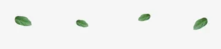 4片绿叶免抠