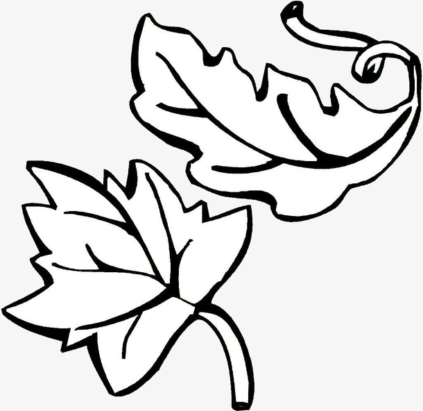 手绘的简笔画树叶免抠