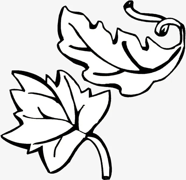 手绘的简笔画树叶免抠