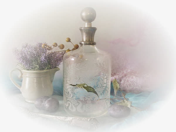 花草设计素材ps花卉素材免抠