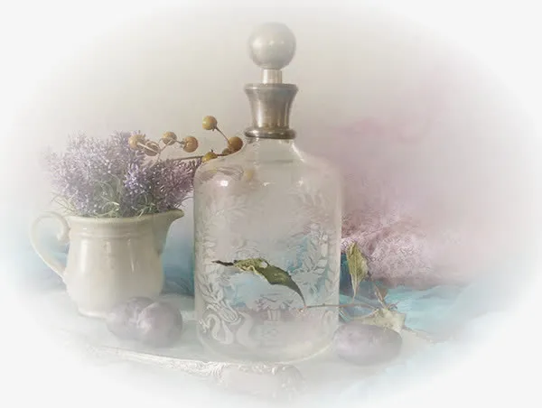 花草设计素材ps花卉素材免抠