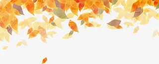 金秋水彩枫叶落叶装饰元素免抠